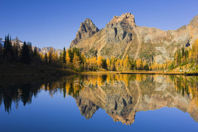 Larch trees and Lake Ohara in autumnal landscape in Yoho National Park, British Columbia, Canadá — Fotografia de Stock