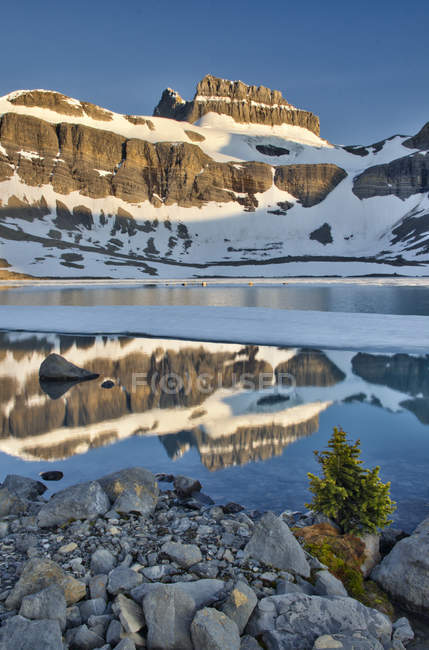 Rocas que se reflejan en el agua del Lago Catarata, Cañón del Alto Brazeau, Parque Nacional Jasper, Alberta, Canadá - foto de stock