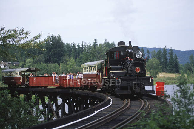 Cowichan Valley Forestry Center tren de vapor con los visitantes, Vancouver Island, Columbia Británica, Canadá . - foto de stock