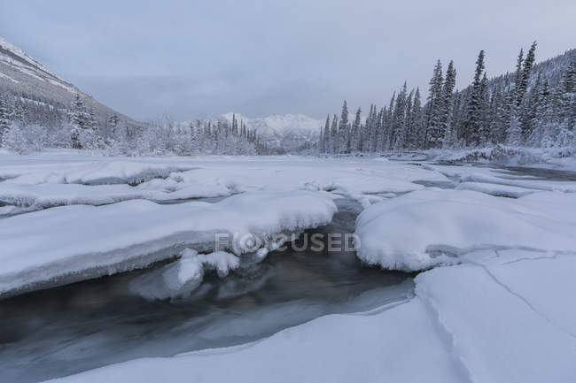 Wheaton river freezing up in winter near Whitehorse, Yukon, Canada. — Stock Photo