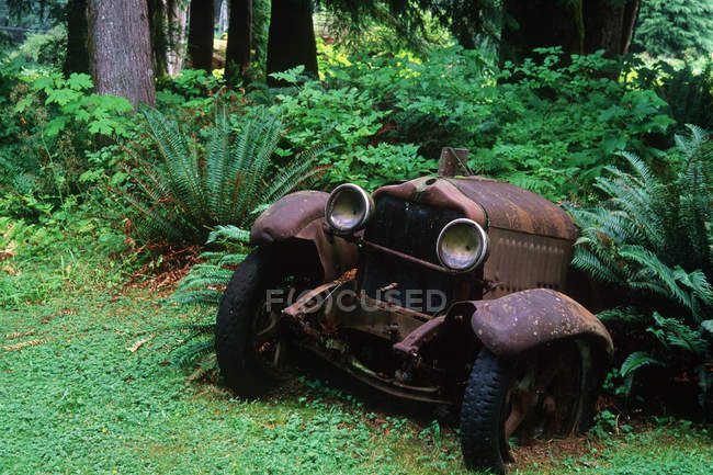 Sayward rusted carro antigo no café da floresta, Vancouver Island, British Columbia, Canadá . — Fotografia de Stock