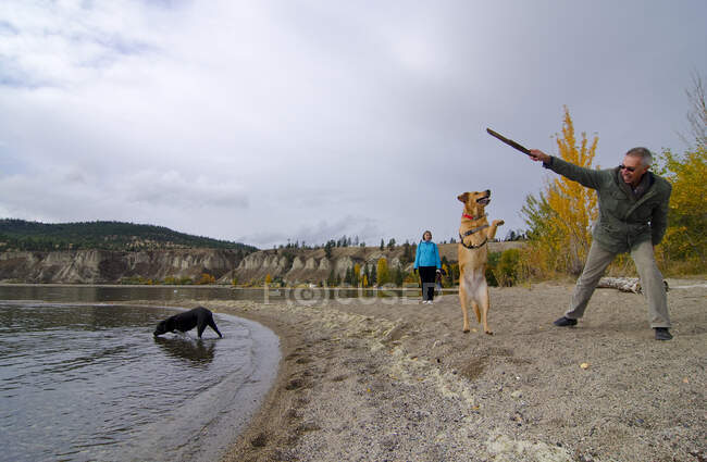 Paar spielt mit Hunden am Sun-Oko Beach in der Nähe von Summerland in der Thompson Okanagan Region in British Columbia, Kanada — Stockfoto