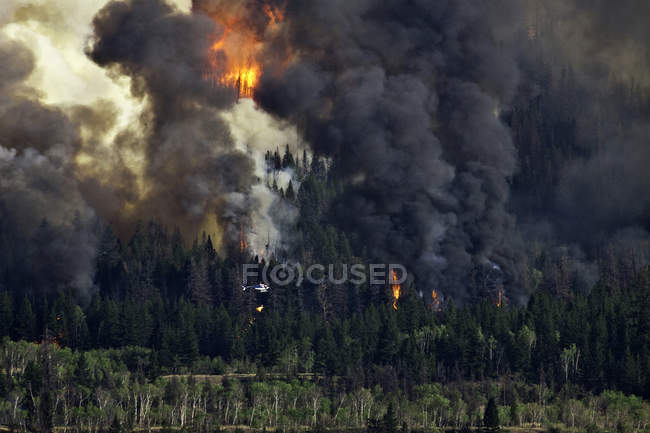 Изображения лесных пожаров в регионе Чилкотин Британской Колумбии, Канада — стоковое фото