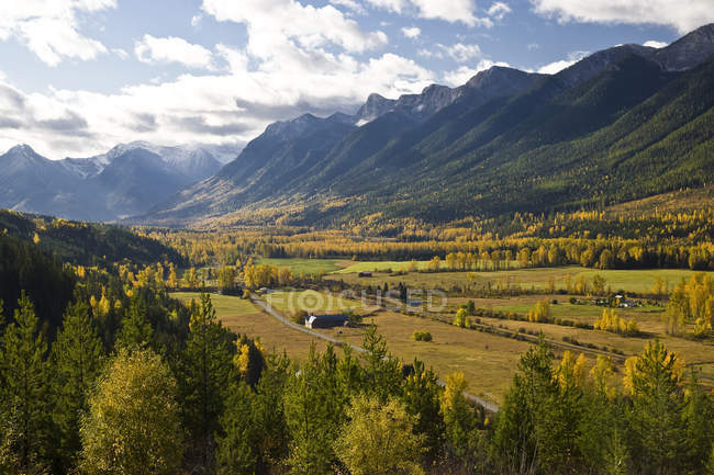 Elk Valley dans un feuillage automnal près de Fernie, Colombie-Britannique, Canada . — Photo de stock