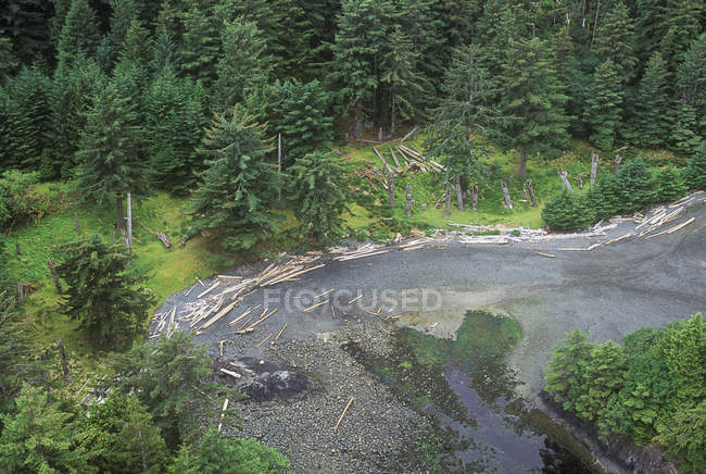 Ninstints aldeia com totem mortuário resistido pólos, Haida Gwaii, Colúmbia Britânica, Canadá . — Fotografia de Stock
