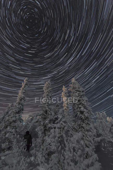 Persona de pie en los árboles bajo las estrellas senderos a través del cielo nocturno, cuervo viejo, Yukón . - foto de stock