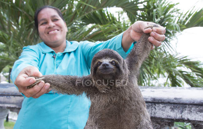Frau hält Faultier mit Händen in Iquitos, Peru — Stockfoto