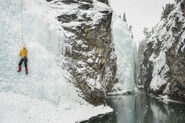 Scalatore di ghiaccio alla 'Galleria' nel Cline River Canyon, Kootenay Plains, Alberta, Canada — Foto stock