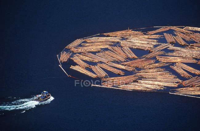 High angle view of log boom on Slocan Lake, West Kootenays, British Columbia, Canada. — Stock Photo