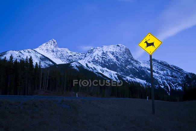 Veado Sinal de cruzamento, estrada e rochas cobertas de neve, Kananaskis, Alberta — Fotografia de Stock