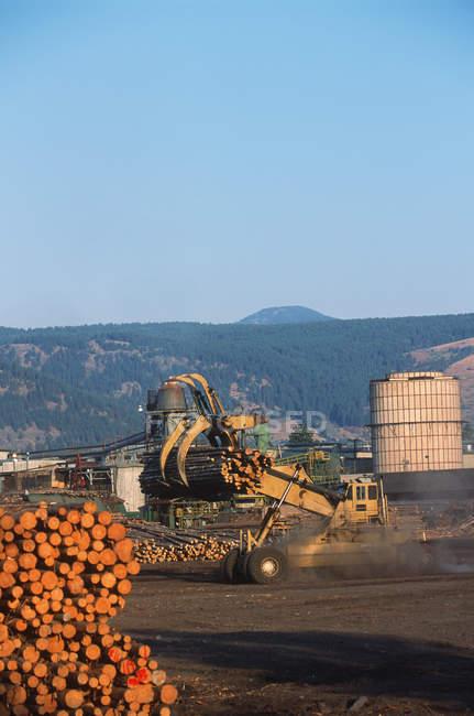 Interno della segheria Grand Forks con camion di disboscamento, British Columbia, Canada . — Foto stock