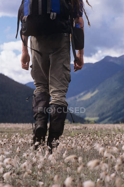 Vista trasera del hombre caminando junto al río Wood cerca del Parque Provincial Hamber, Columbia Británica, Canadá
. - foto de stock