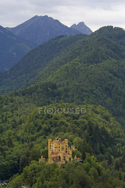 Пташиного польоту замок Хоеншвангау в лісі, Хоеншвангау, Німеччина — стокове фото
