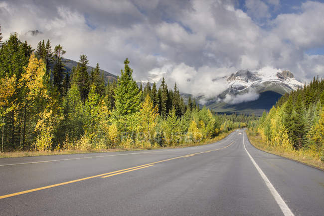 Icefields parkway road in woodland near Rampart Creek, Banff National Park, Alberta, Canadá - foto de stock