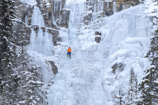 Escalador de hielo irreconocible en las cataratas congeladas Tangle Falls, Jasper National Park, Alberta, Canadá - foto de stock