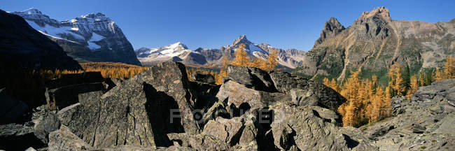 Opabin перспектива стежка в горах його Національний парк, Британська Колумбія, Канада. — стокове фото