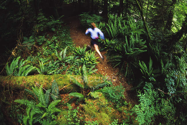 Woman trail running in Lynn Canyon, North Vancouver, British Columbia, Canada. — Stock Photo
