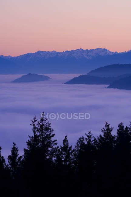 Малахат смотрит на Финлейсон Армс на закате с туманными вершинами холмов, остров Ванкувер, Британская Колумбия, Канада . — стоковое фото