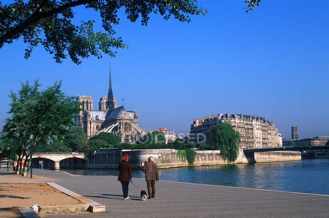 Cathédrale Notre Dame le long du quai de la Seine à Paris, France — Photo de stock