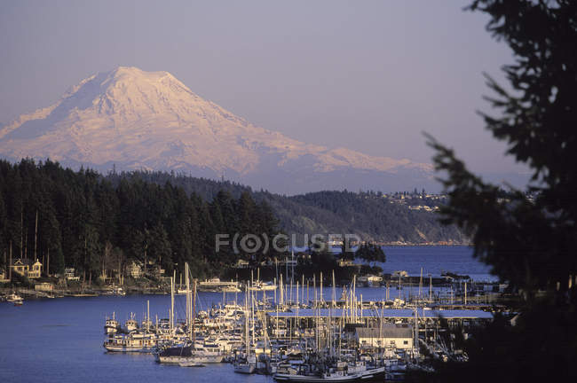 Концерт гавань з Mount Rainier за межами штату Вашингтон, США — стокове фото