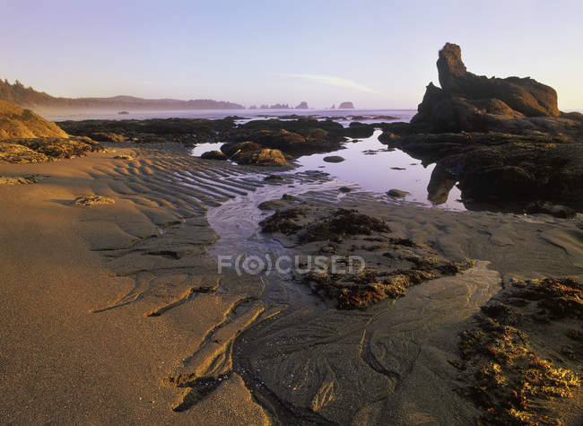 Tramonto sulla spiaggia di Shi Shi con bassa marea nel Parco Nazionale della Penisola Olimpica, Washington, USA — Foto stock