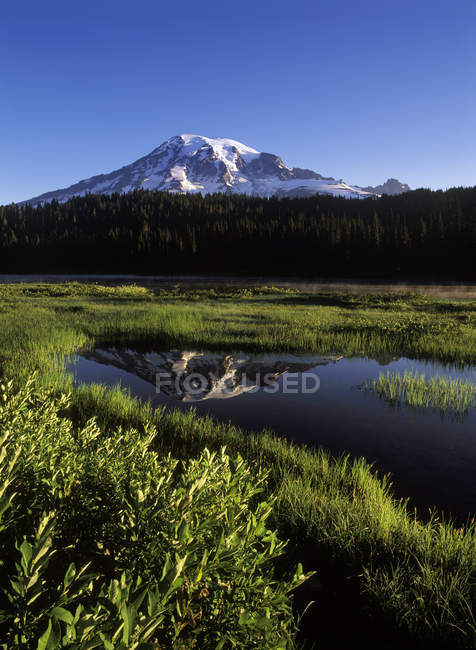 Montanha refletindo no pântano Reflection Lake, Mount Rainier National Park, EUA — Fotografia de Stock