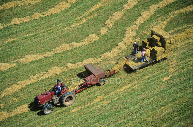 Aerial view of men farming on green field at Prince Edward Island, Canada. — Stock Photo