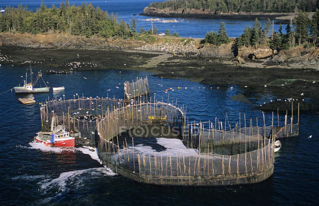 Vista ad alto angolo di pesca wier, Campobello Island, New Brunswick, Canada . — Foto stock