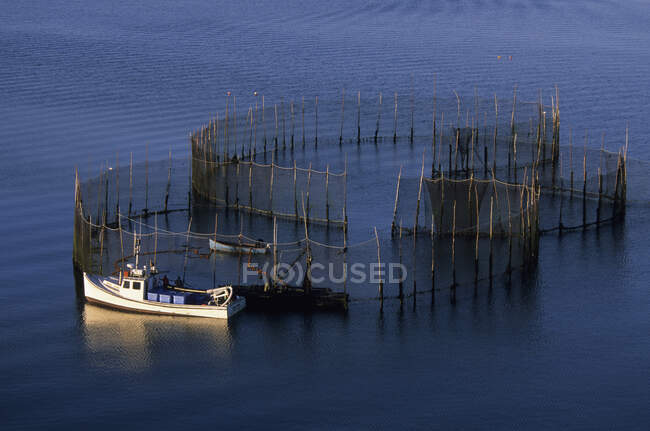 Cultured mussel farming, Saint Peters Bay, Kings County, Prince Edward Island, Canada — Stock Photo
