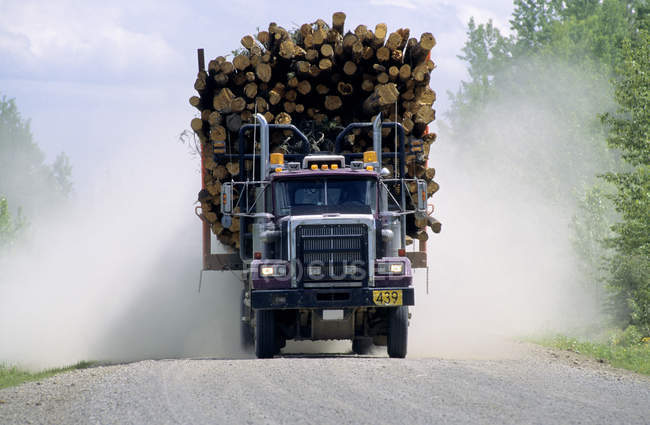 Журналювання вантажівка залучення навантаження хвойні Хінтон, Альберта, Канада. — стокове фото