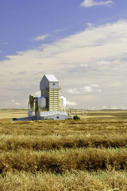 Silo de grano en campo rural cerca del lago McGregor, Alberta, Canadá - foto de stock