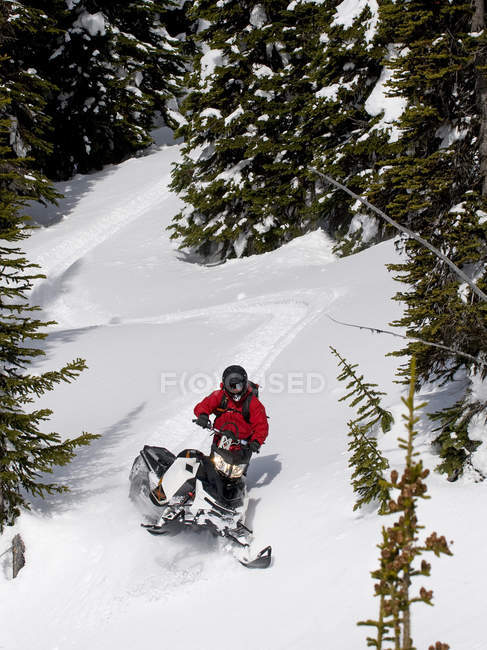 Masculino snowmobiler fazendo caminho para baixo declive, Monashee montanhas, Valemount, Thompson Okanagan, British Columbia, Canadá — Fotografia de Stock
