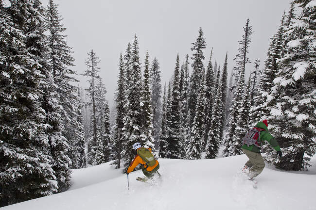Men skiing deep powder in Monashees, Vernon, British Columbia, Canada — Stock Photo