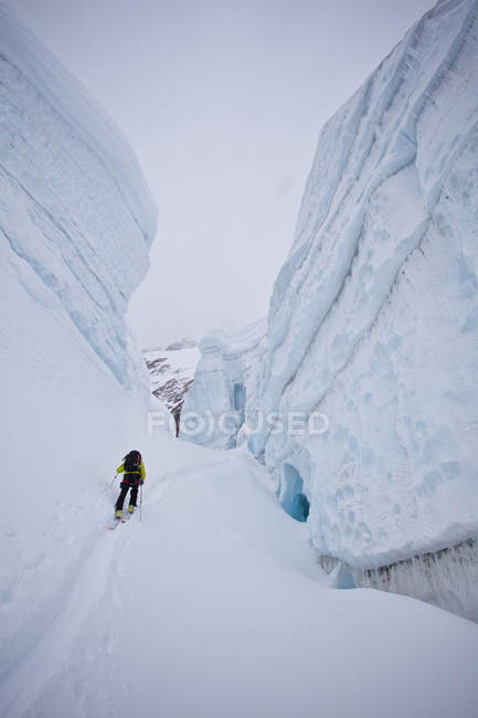 Mujer backcountry ski touring through glacier ice, Icefall Lodge, Golden, British Columbia, Canadá - foto de stock