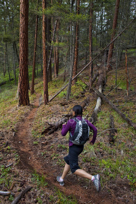 Sentiero femminile che corre nella foresta di Penticton, Columbia Britannica, Canada — Foto stock
