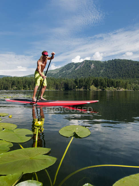 Stand up paddler on water of Heffley Lake, Thompson Okanagan, British Columbia, Canadá — Fotografia de Stock