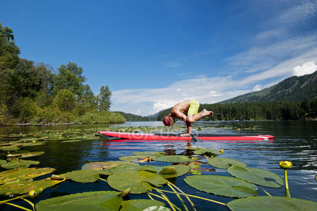 Stand up paddler practicando yoga handstand en Heffley Lake, Thompson Okanagan, Columbia Británica, Canadá - foto de stock