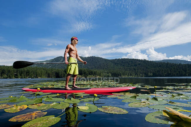 Stand up paddler on water of Heffley Lake, Thompson Okanagan, British Columbia, Canadá - foto de stock
