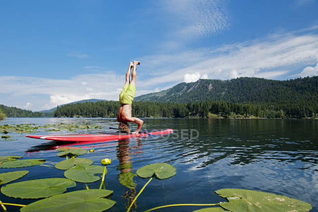Stand up paddler practicando yoga a bordo en Heffley Lake, Thompson Okanagan, Columbia Británica, Canadá - foto de stock