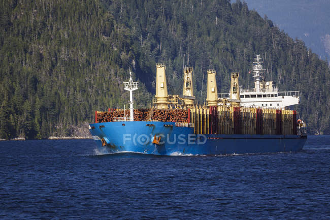 Tanker ship transporting raw logs export from British Columbia, Canada. — Stock Photo