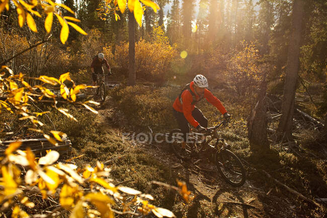 Due appassionati di mountain bike che si godono i colori e i sentieri autunnali a Whitehorse, Yukon — Foto stock