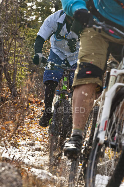 Due mountain bike maschi cavalcando il singletrack incredibile in Carcross, Yukon — Foto stock