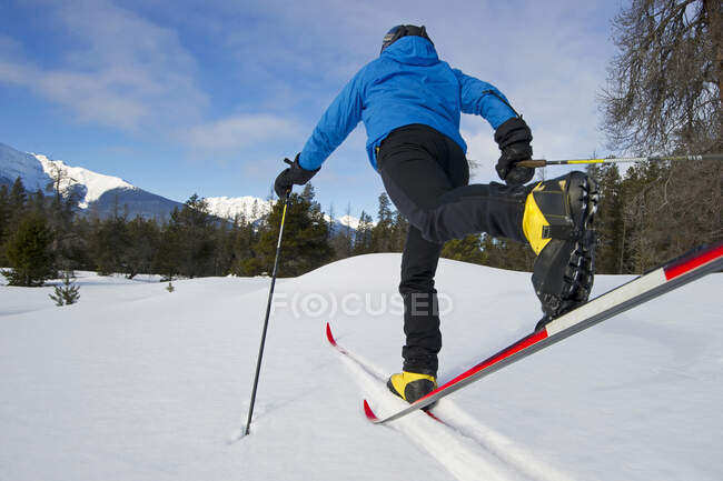 A group of cross country skiiers explore 'Jackman Flats' near Valemount, Thompson Okanagan region, British Columbia, Canada. — Stock Photo