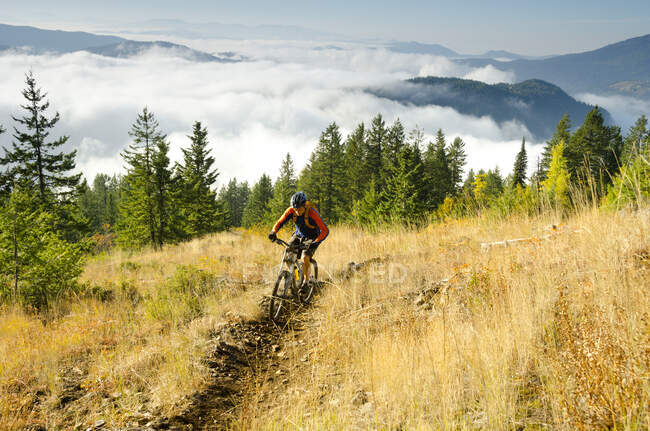 Un mountain bike di sesso maschile cavalca alto sul sentiero Red Top al Red Mountain Resort, nella Rossland Range vicino a Rossland, British Columbia — Foto stock