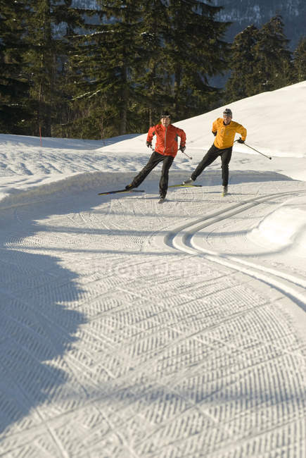 Лыжники на лыжах по замку, Lost Lake Trails, Уистлер, Британская Колумбия, Канада — стоковое фото