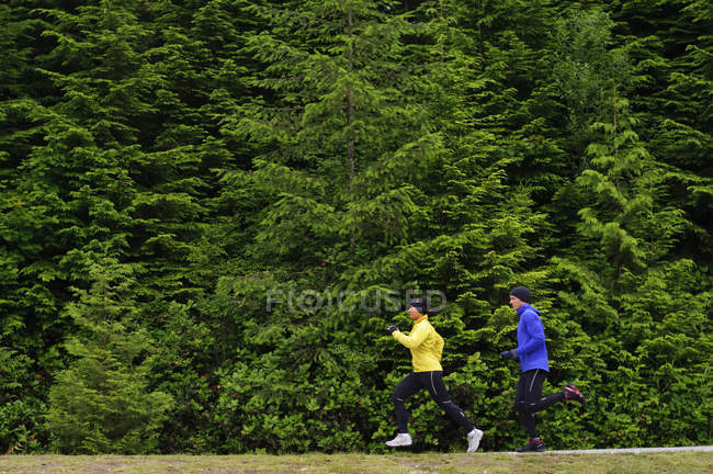 Пара бегает по тропе вокруг озера Сасамат, Региональный парк Белкарра, Порт Муди, Британская Колумбия, Канада — стоковое фото