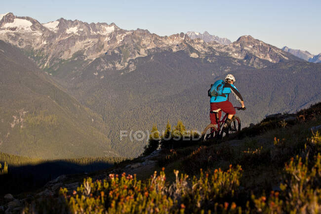 Езда на горном велосипеде по альпийской трассе Фрисби Ридж в Ревелстоке, Британская Колумбия, Канада — стоковое фото