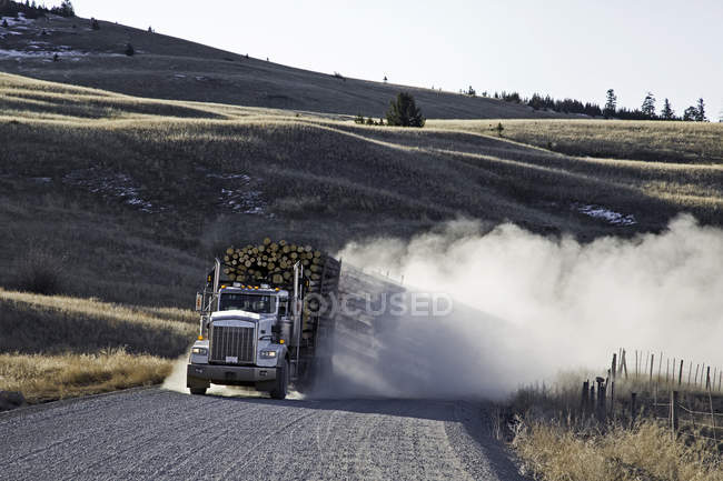 Camión maderero que monta en carretera polvorienta en British Columbia, Canadá . - foto de stock
