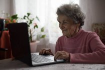 Donna anziana attiva che utilizza il computer portatile a casa — Foto stock