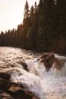 Vue sur la cascade par une journée ensoleillée, parc national Banff — Photo de stock